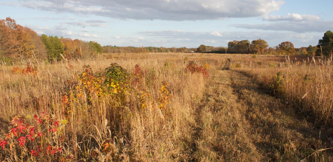Fallen Timbers Then Now American Battlefield Trust
